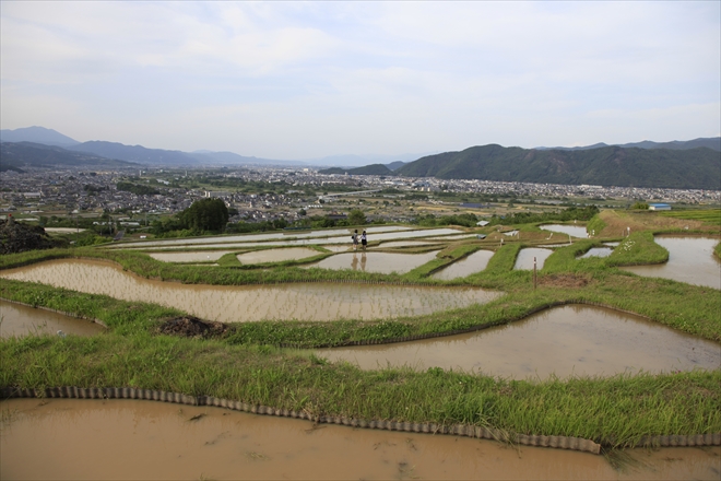 ウォーターサーバーの採水地として人気の長野県──その水事情を調べてみた！
